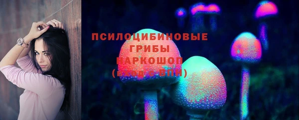 шишки Елабуга