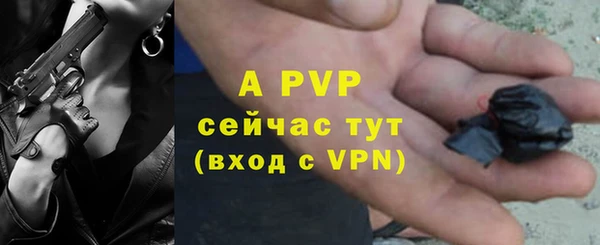 шишки Елабуга