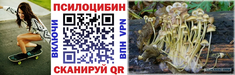 ссылка на мегу как зайти  Инза  Галлюциногенные грибы мицелий 